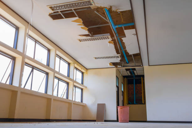 Best 24/7 water damage repair  in Elwood, NY