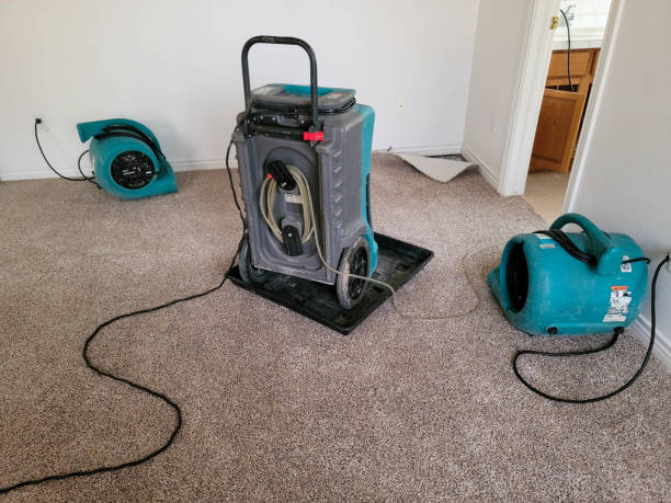 Best Basement water damage restoration  in Elwood, NY