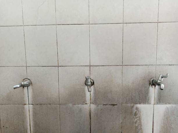 Best Flooded house restoration  in Elwood, NY