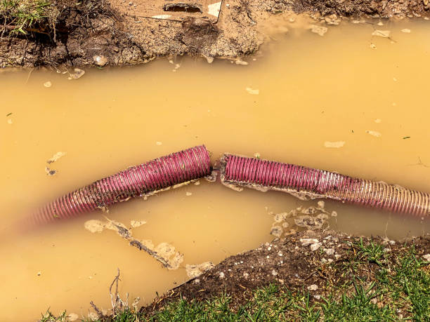 Best Water damage restoration near me  in Elwood, NY