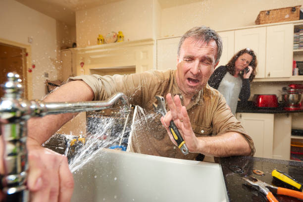 Best Local water damage restoration  in Elwood, NY